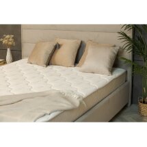 Матрас Comfort Alternative 160х200