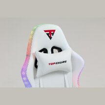 Кресло спортивное TopChairs Druid белый