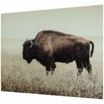 КАРТИНА Б/РАМЫ WALL DECOR A8000289 BRUTUS 122*91