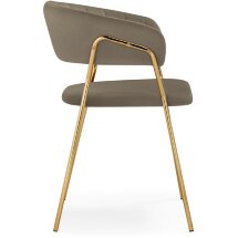 Стул на металлокаркасе Kamelia 1 cappuccino / gold