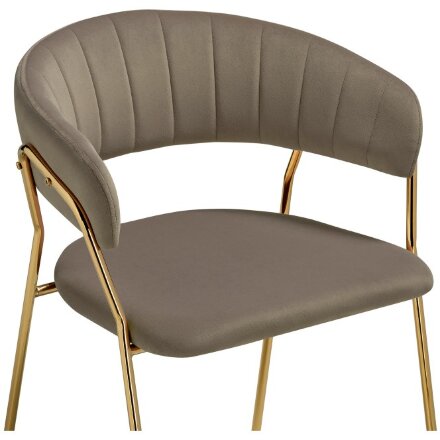 Стул на металлокаркасе Kamelia 1 cappuccino / gold 